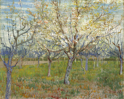Vincent Van Gogh - Rosa Obstgarten