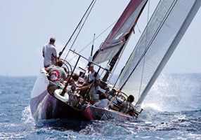 Alinghi 11