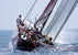 Alinghi 11
