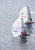 Alinghi 5