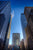 Sky Race (color)