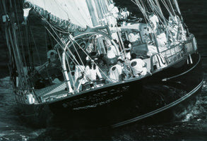 Bilderansicht