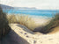 Dune Shadows