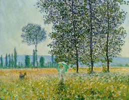 Felder im Frühling