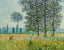 Felder im Frühling
