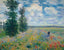 Les Coquelicots