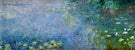 Seerosen II