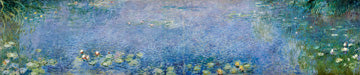Seerosen (Crop)