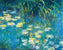 Seerosen (Detail I)