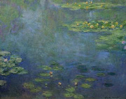 Seerosenteich