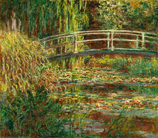 Seerosenteich, Harmonie in Rosa
