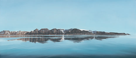 Arctic refelction