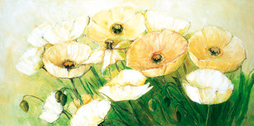 Tender Poppies
