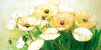 Tender Poppies