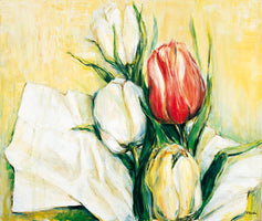 Tulipa Antica