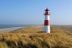 Sylt IV