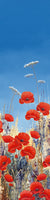 Summer Poppies II