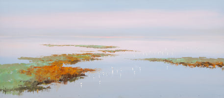 Sunset with Birds