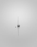 Companions von Nicolas Bell