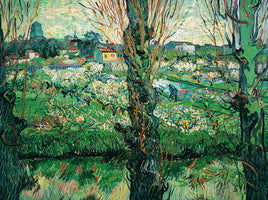 Blick auf Arles