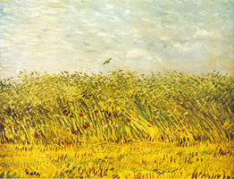 Bilderansicht