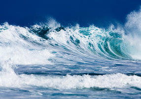 North Shore