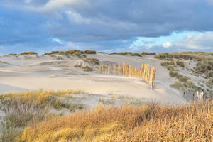 Les dunes II von Georges-Félix Cohen