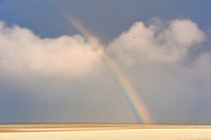 Rainbow von Georges-Félix Cohen