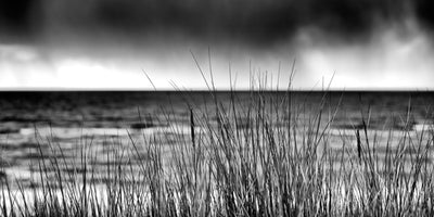 Storm I von Uwe Steger