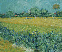 Vista di Arles con irises
