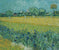 Vista di Arles con irises