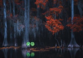 Catherine Wang  - Caddo Lake 10