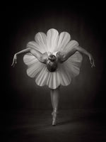 Catchlight Studio - Floral Ballet