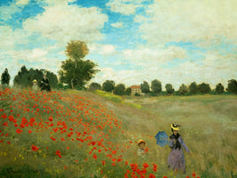 Campo di papaveri