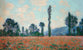 Claude Monet - Champ des Coquelicots