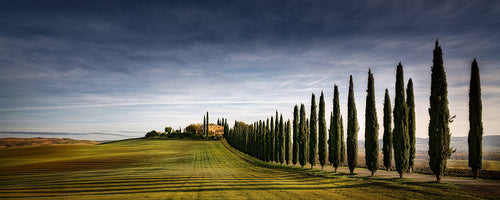Dieter Weck - Tuscan Cypress Road