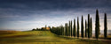 Dieter Weck - Tuscan Cypress Road