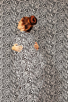 Efrat Lazarov  - Camouflage