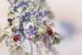 Ellen van Deelen - Ladybugs on Soft Flowers
