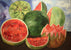 Frida Kahlo - Viva la Vida