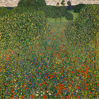 Campo di papaveri