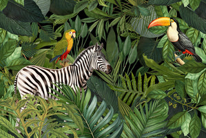 Andrea Haase  - Zebra and Friends