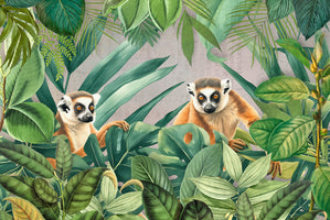 Andrea Haase  - Lemur Jungle
