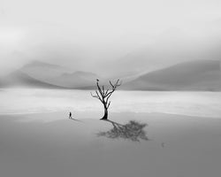 Hadi Malijani  - Allegory