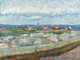Pesco in fiore