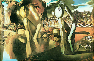 La metamorfosi di narciso