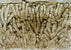 Paul  Klee - Wildnis / Gestrüpp