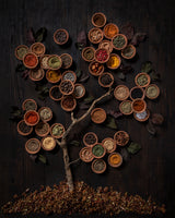 Diana Popescu - Spice Tree