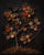 Diana Popescu - Spice Tree