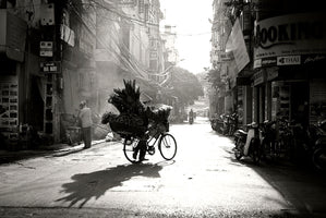 Diana Popescu - Hanoi Flower Vendor